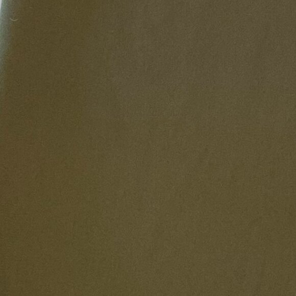 Banana Republic Olive Ankle Pants - Picture 6 of 6